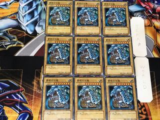 Blue-Eyes White Dragon 5 Normal 9-card set Tera