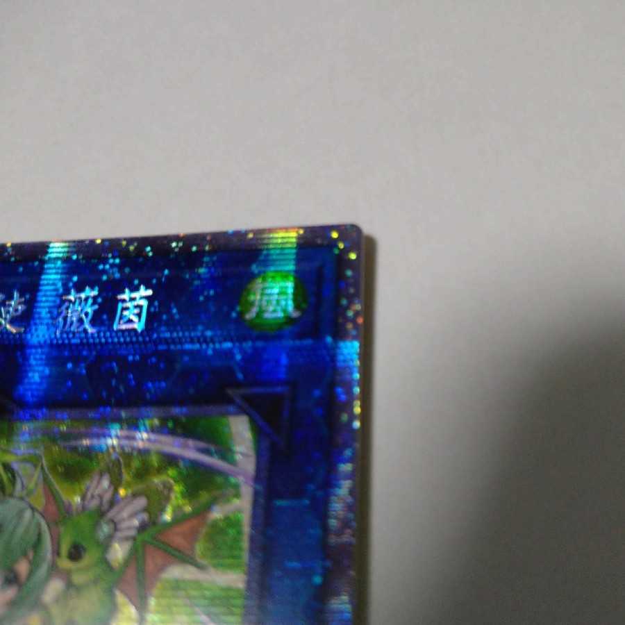 Wynn the Wind Charmer, Verdant Prismatic Secret Rare Chinese Edition