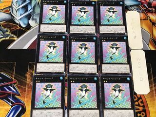 Cat Shark 1 Normal, set of 9 Tera.