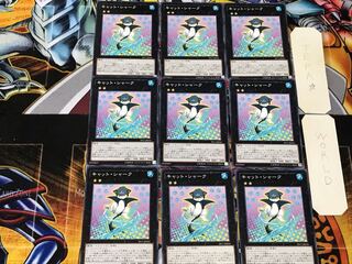 Cat Shark 3 Normal, set of 9 Tera.