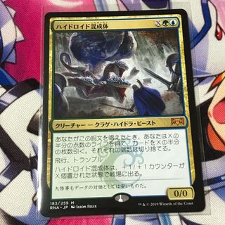 jot様専用 ハイドロイド混成体、繁殖池 日 パック版