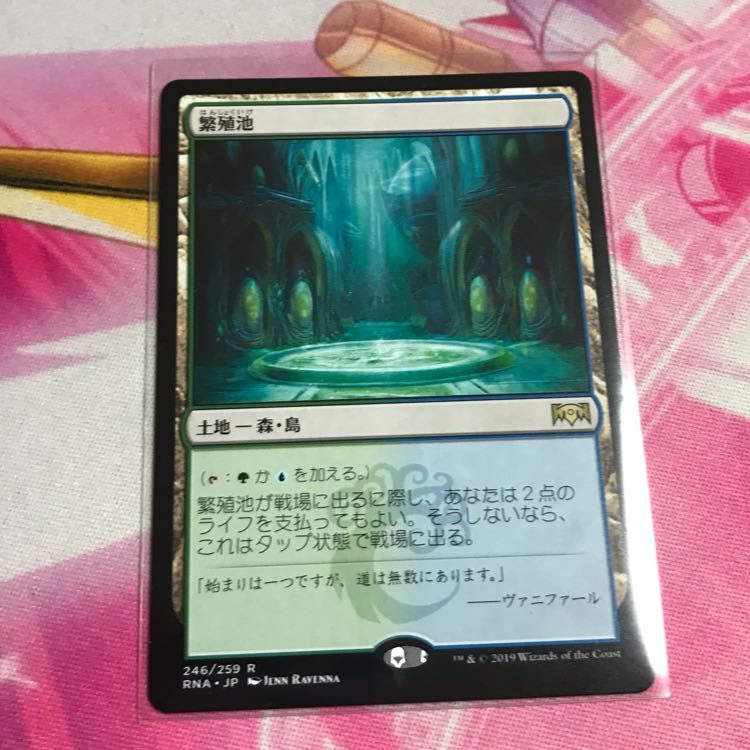 jot様専用 ハイドロイド混成体、繁殖池 日 パック版