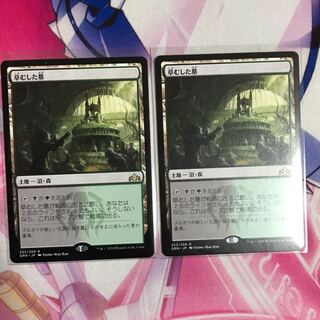 なやは様専用 草むした墓 2枚セット フェロキドン 日