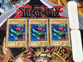 レインボー・フィッシュ3 初期 ノーマル 3枚セット てら