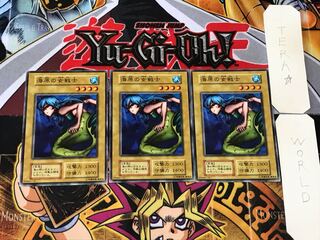 海原の女戦士 2 初期 ノーマル 3枚セット てら