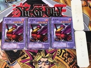 紅陽鳥 2期ver 2 ノーマル 3枚セット てら