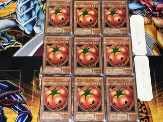 Mystic Tomato 2nd period ver 1 Normal 9-card set Tera