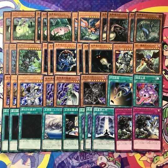 遊戯王 - 遊戯王　未界域　本格構築デッキ 遊戯王 未界域 本格構築デッキ
