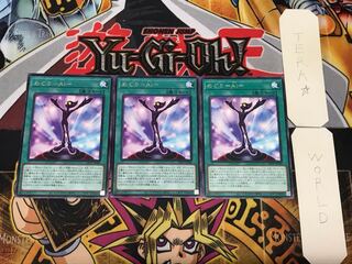 Meguri-Ai-4 Rare 3-piece set Tera