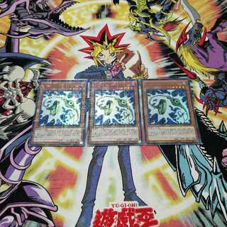 ホールディング・レッグス　3枚