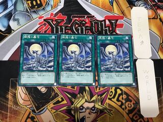 Silver's Cry 2 Rare Set of 3 Tera.