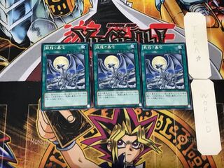 Silver's Cry 5 Rare Set of 3 Tera.