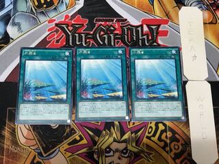 Aquarium Stage 3 rare, set of 3 Tera