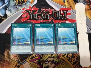 Aquarium Stage 4 Rare 3-piece set Terra