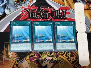 Aquarium Stage 5 Rare 3-piece set Terra