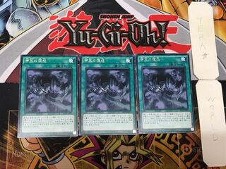 Tenacity of the Monarchs 5 rare, set of 3 Tera.