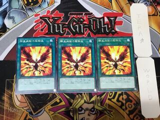 Salamangreat Transcendence 2 rare, set of 3 Tera.