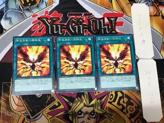 Salamangreat Transcendence 4 rare, set of 3 Tera.