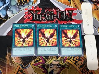 Salamangreat Transcendence 5 rare, set of 3 Tera.