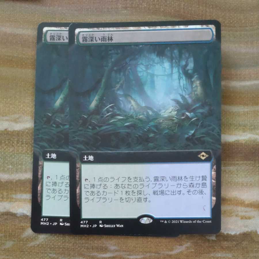 Misty Rainforest Summary