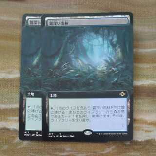 Misty Rainforest Summary