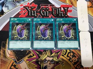 Dragon's Mirror 2 rare, set of 3, Tera