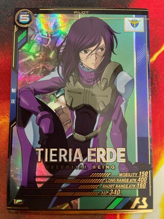 ティエリア•アーデ　P