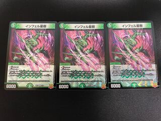 Infelix star tree (species of sedge, Infelix infertilis)