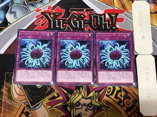 Paleozoic Dinomischus 1 rare, set of 3 Tera.