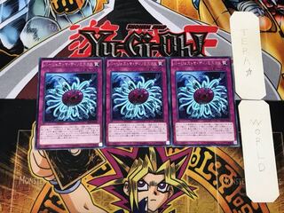 Paleozoic Dinomischus 3 rare, set of 3 Tera.