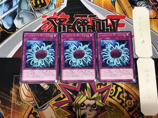 Paleozoic Dinomischus 4 rare, set of 3 Tera.