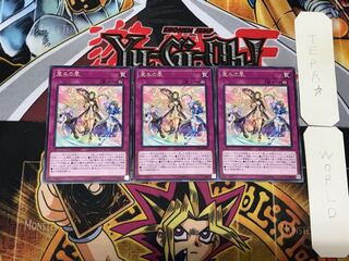 恵みの風 3 レア 3枚セット てら