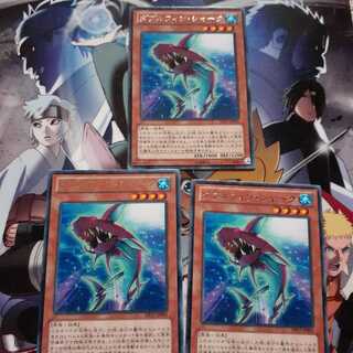 ダブルフィン・シャーク　セット