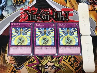Nine Pillars of Yang Zing 3 rare, set of 3 tera