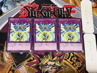 Nine Pillars of Yang Zing 5 rare, set of 3 tera