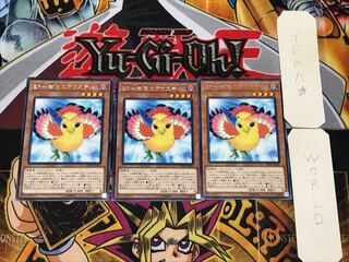 BF-南風のアウステル 5 レア 3枚セット てら