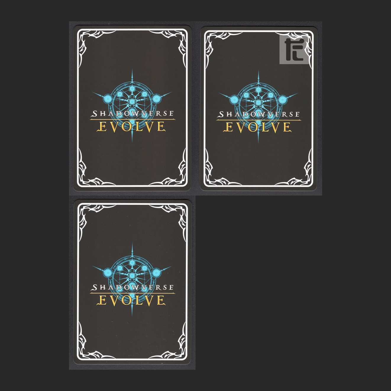 マーリン/エラスムス【ニア】LG 3枚セット/管理:MS0003 3枚