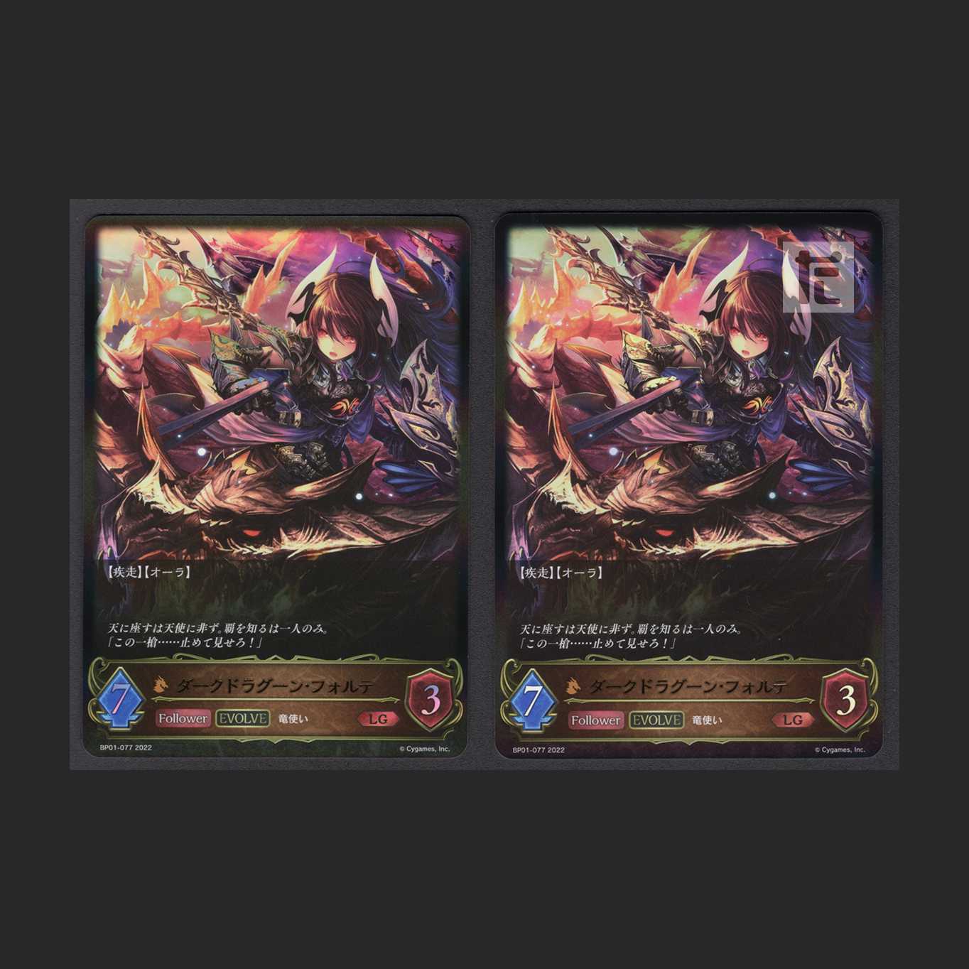 Dark Dragoon Forte After Evolution [Near] LG Set of 2 / Management: MS0004