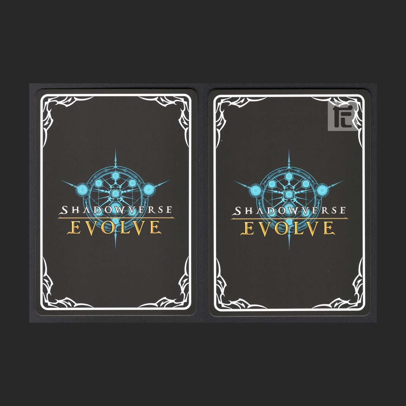 Dark Dragoon Forte After Evolution [Near] LG Set of 2 / Management: MS0004