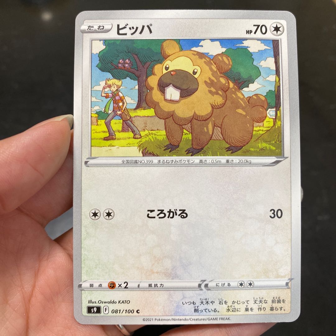 Exclusive for Bibarel YU