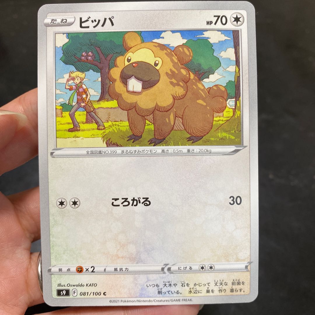 Exclusive for Bibarel YU