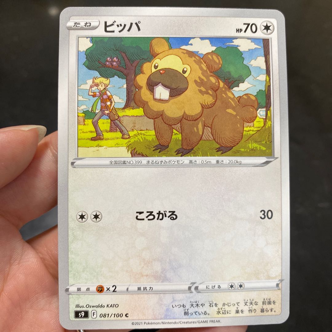 Exclusive for Bibarel YU