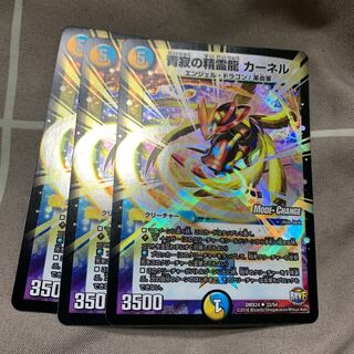 【翌日発送】 カーネル