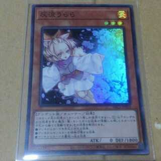 Ash Blossom & Joyous Spring Super