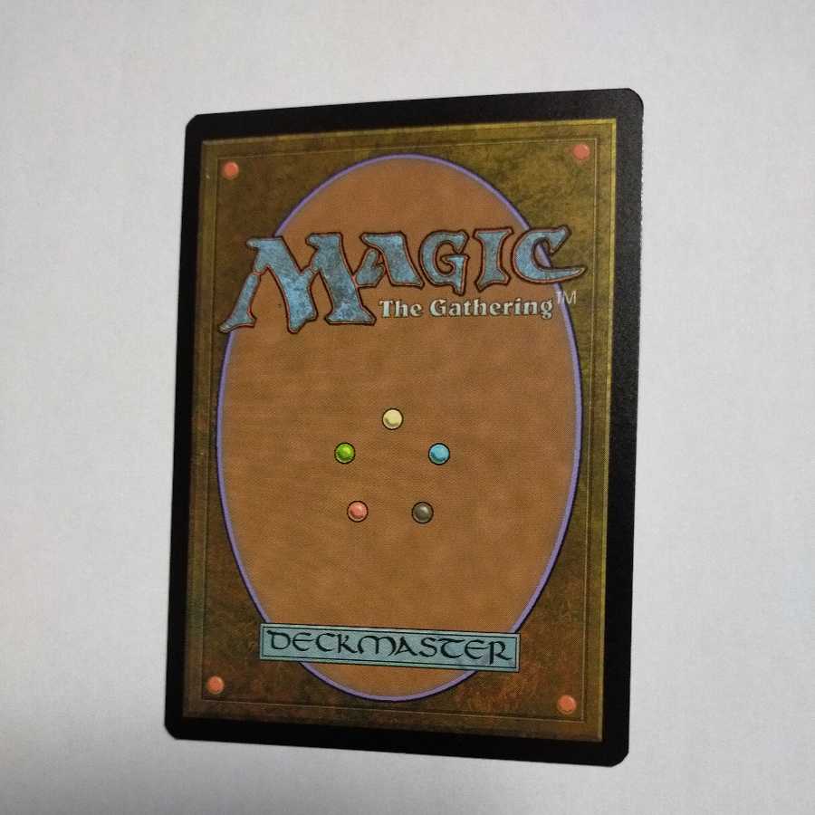 MTG Intrepid Adversary/Intrepid Adversary Japanese