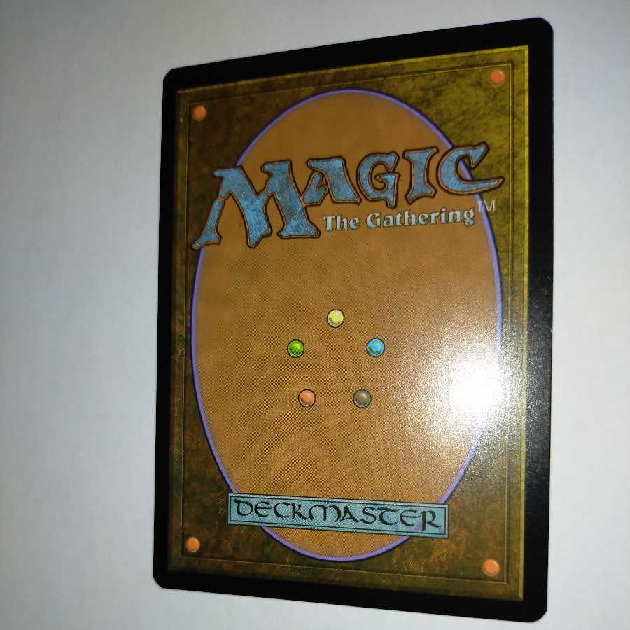 MTG Intrepid Adversary/Intrepid Adversary Japanese