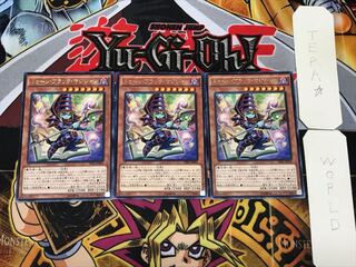 Toon Dark Magician 2 rare, set of 3 Tera.