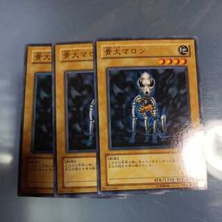 Skull Dog Marron Normal