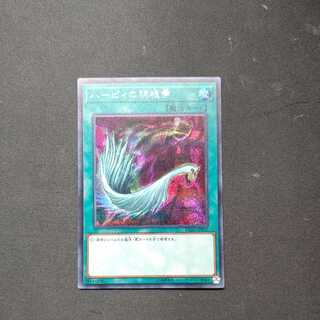 Harpie's Feather Duster Secret