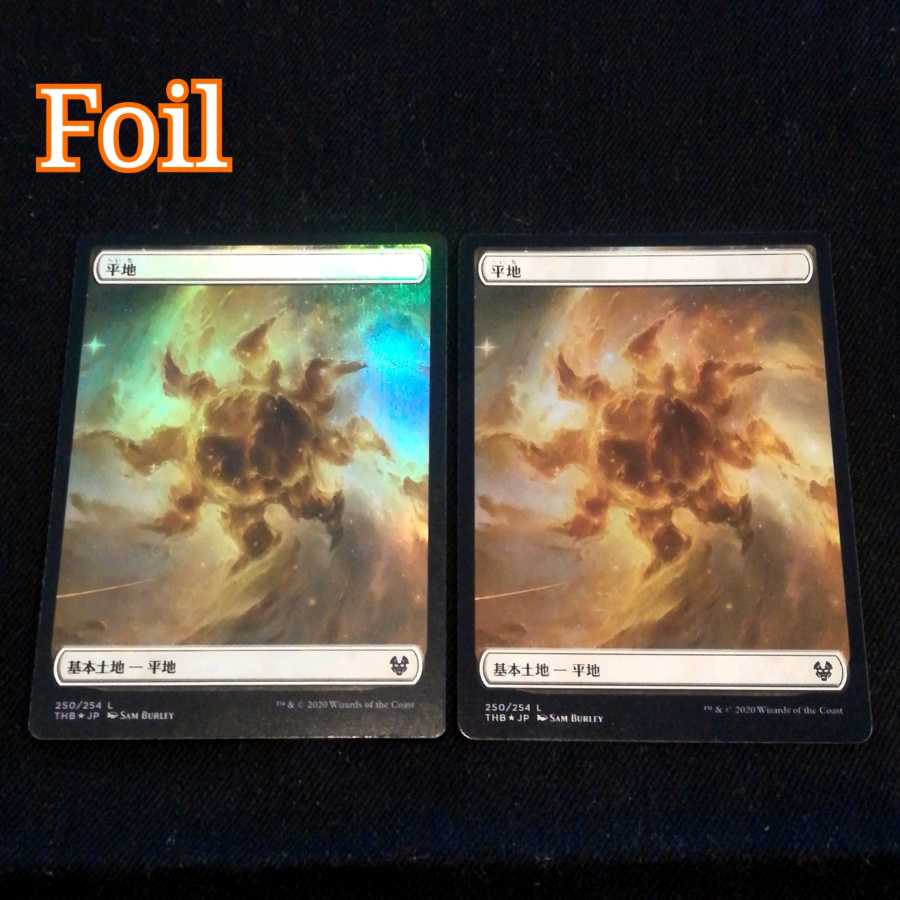 MTG Plains card [Foil] 2 cards / The Souls of Teros Return